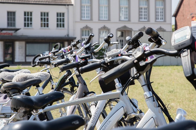 Geen verplichte verzekering voor speed pedelecs